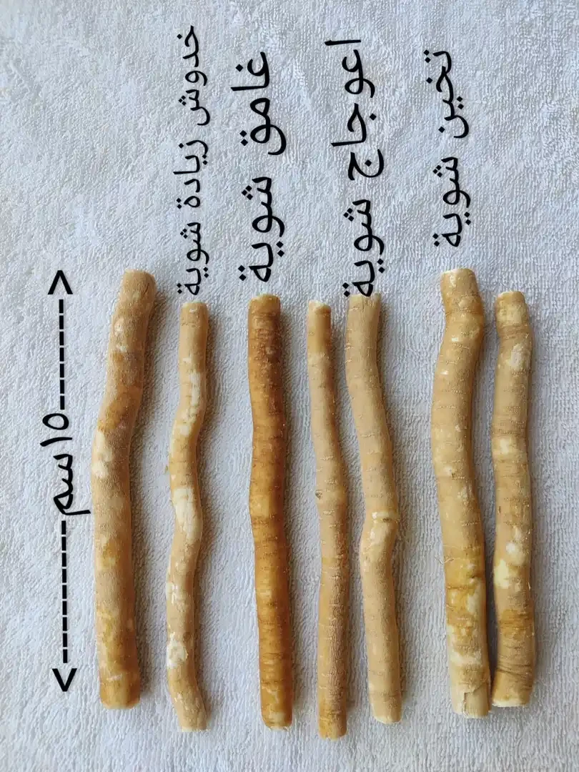 المنتج